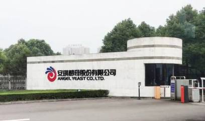 安琪酵母 以生物技术创新引领健康生活新时代