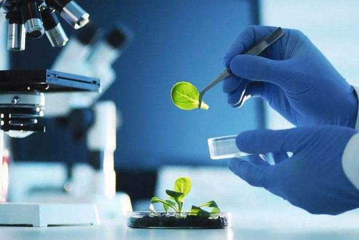 207亿预算下，2022年大气污染治理的策略与生物技术研发路径