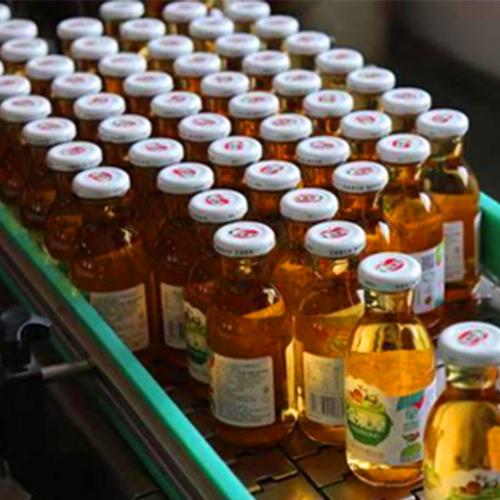 以生物技术为引擎 烟台市金果源生物科技的研发之路与创新实践